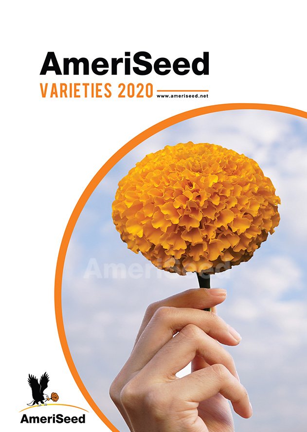 AmeriSeed-Varieties-2020