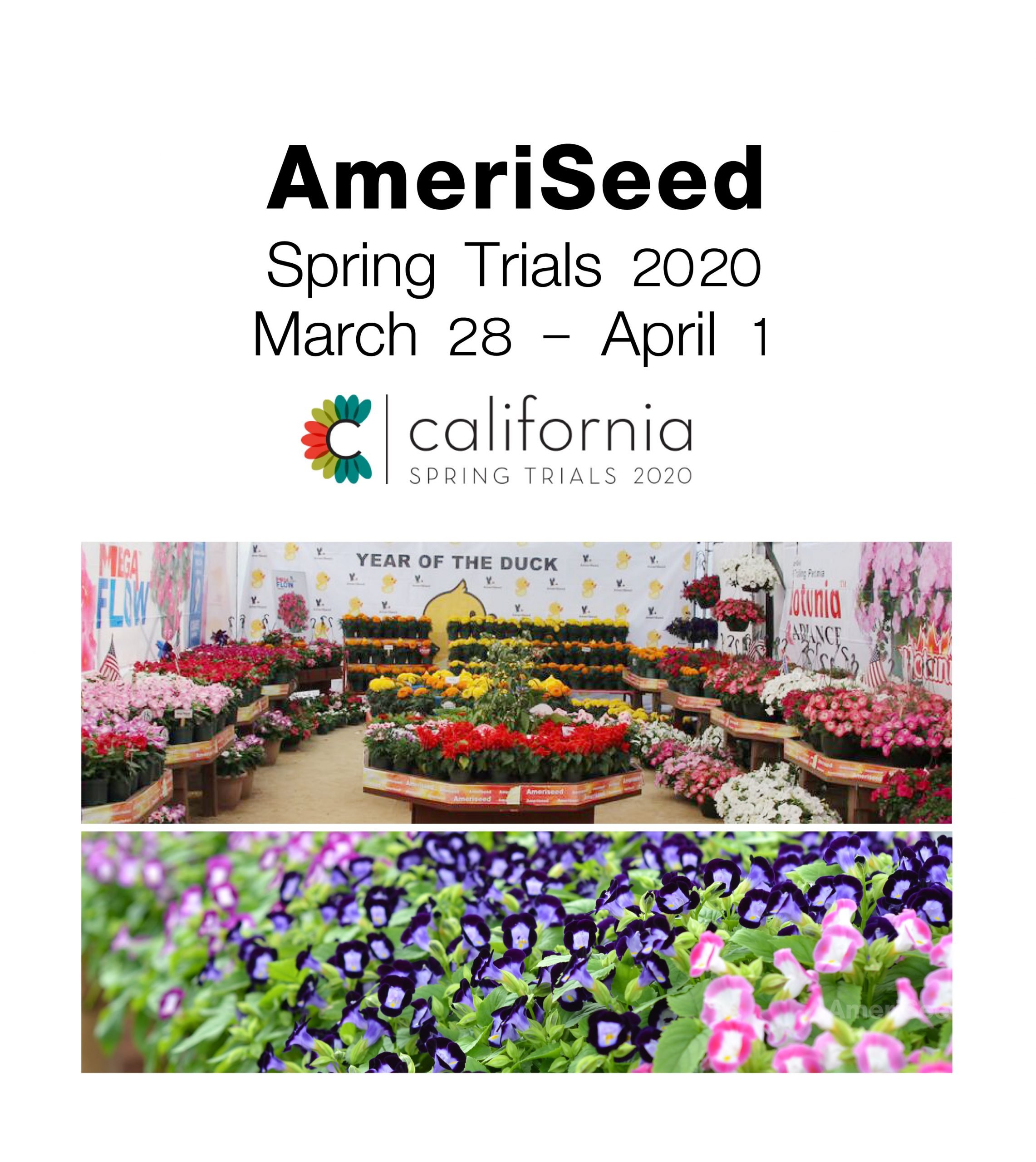 CAS spring trial-20-01 – AmeriSeed