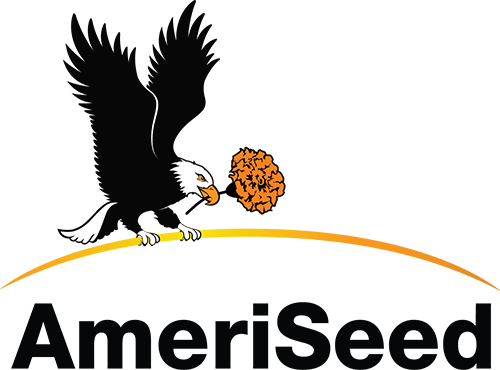 LogoAmeriseed