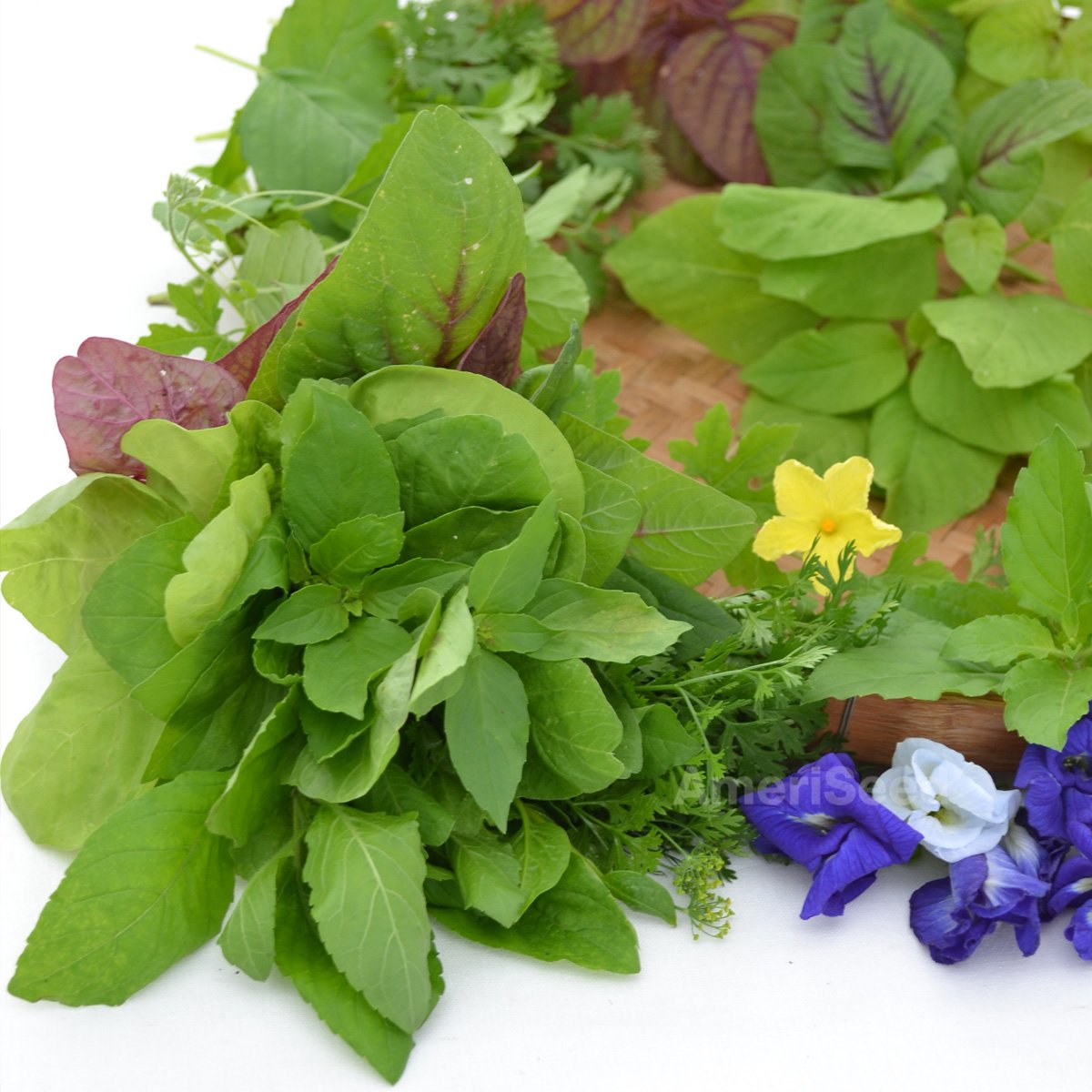 Plus--Asian-Herbs